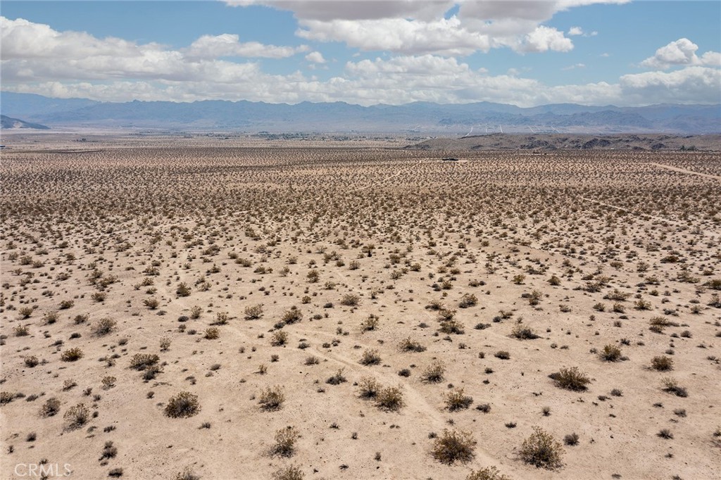 MLS #JT25181067 image #3