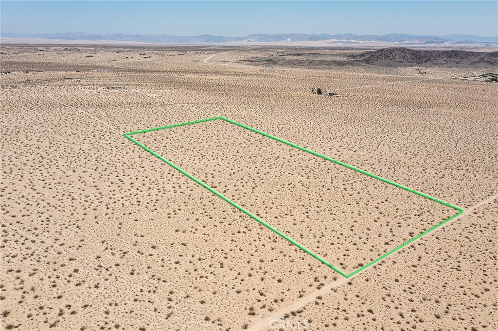 MLS #JT25181067 image #4