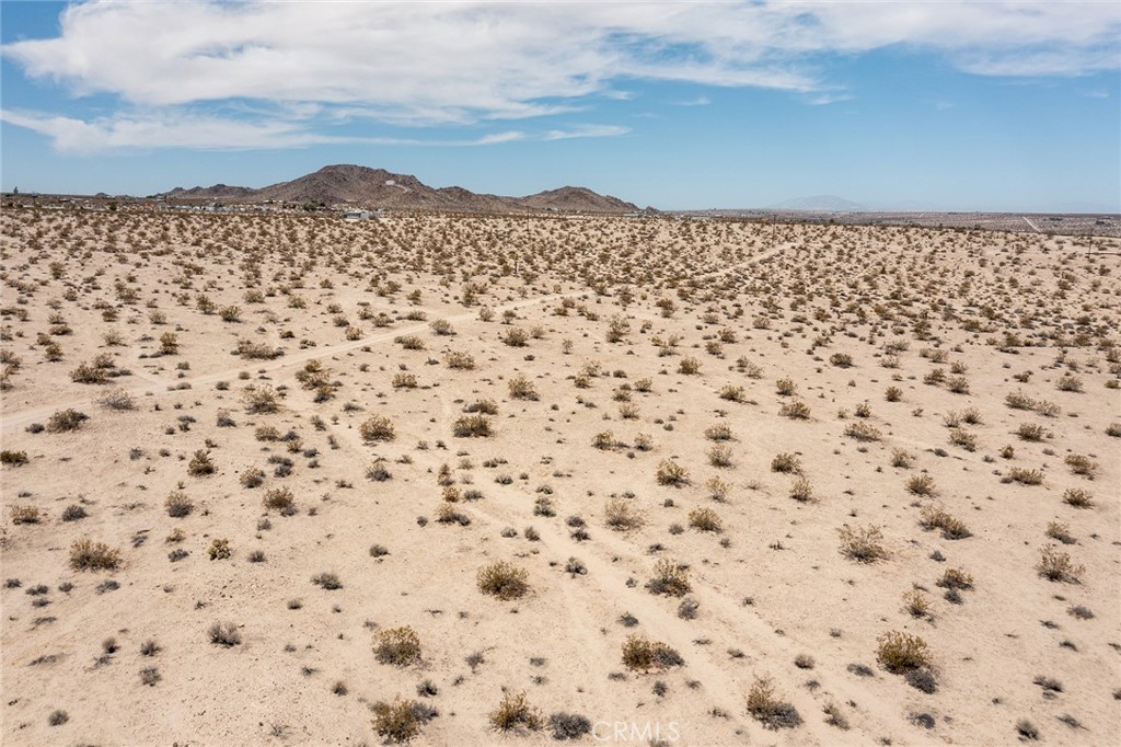 MLS #JT25181067 image #5