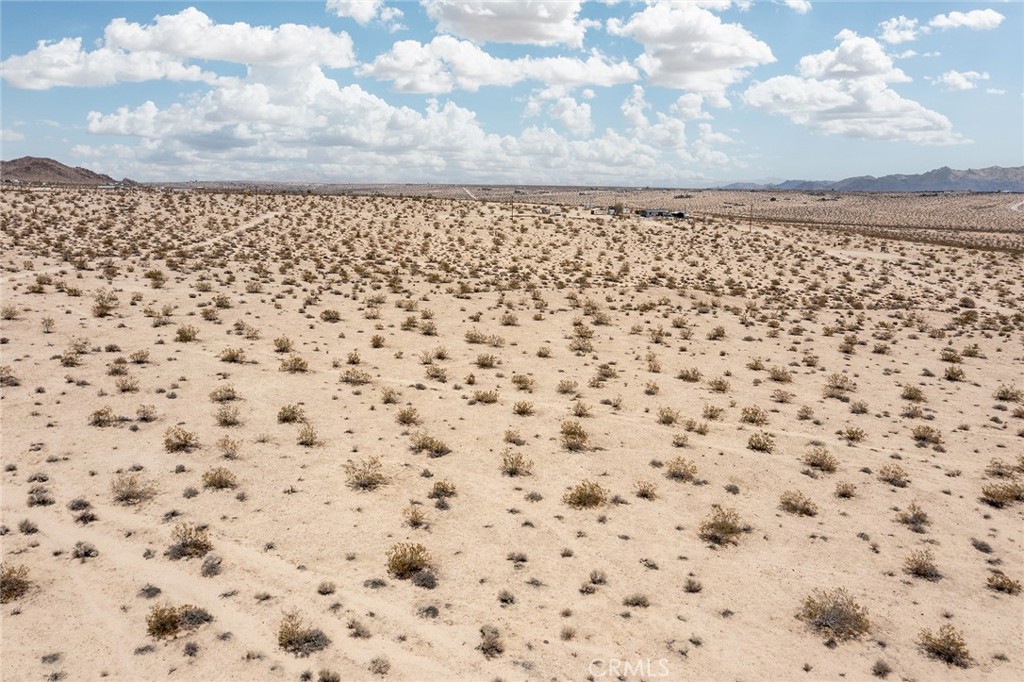 MLS #JT25181067 image #7