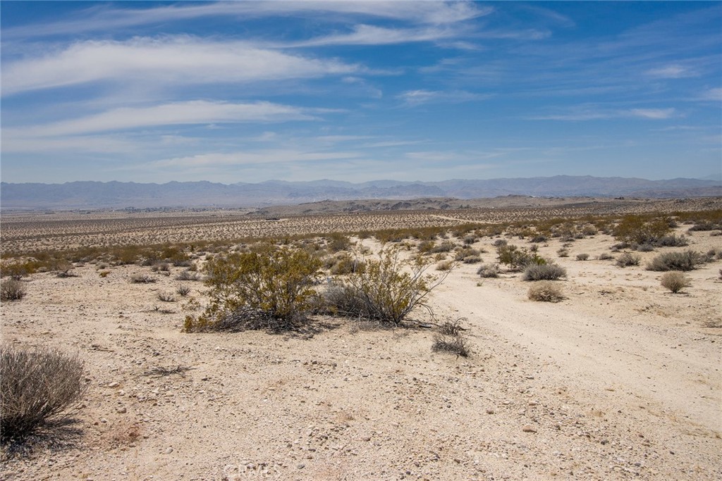 MLS #JT25181067 image #9