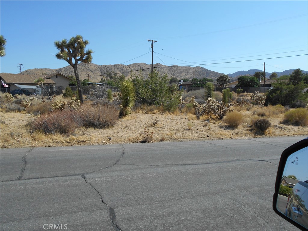 MLS #JT25181144 image #3