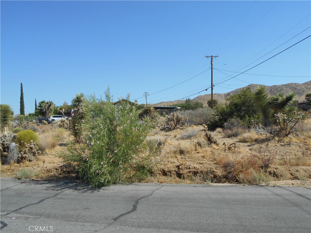 MLS #JT25181144 image #4