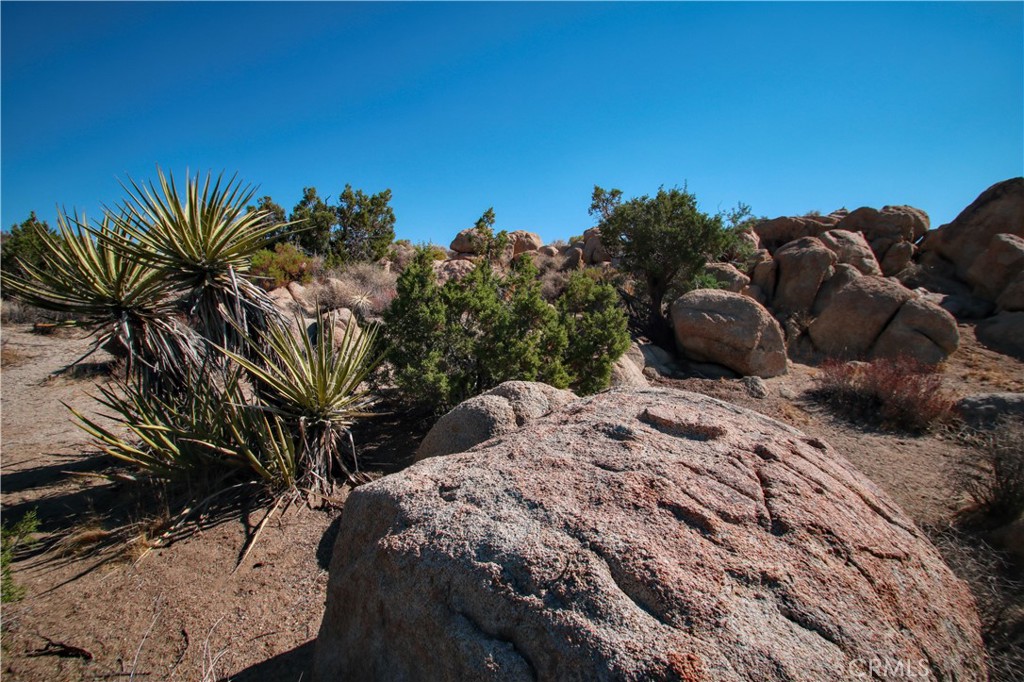 MLS #JT25181339 image #25