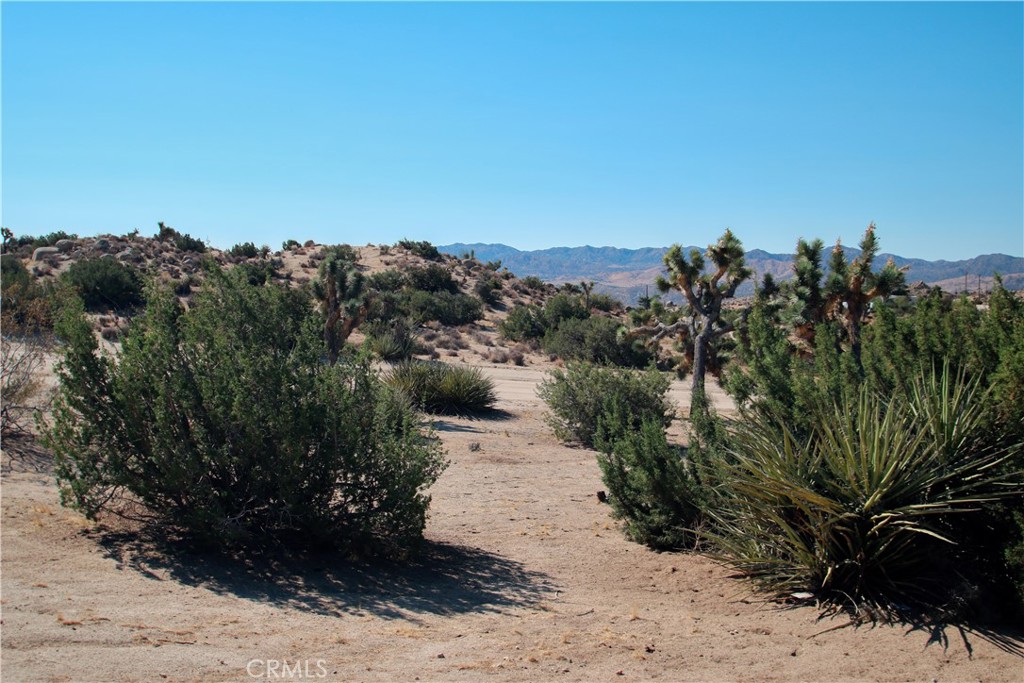 MLS #JT25181339 image #26