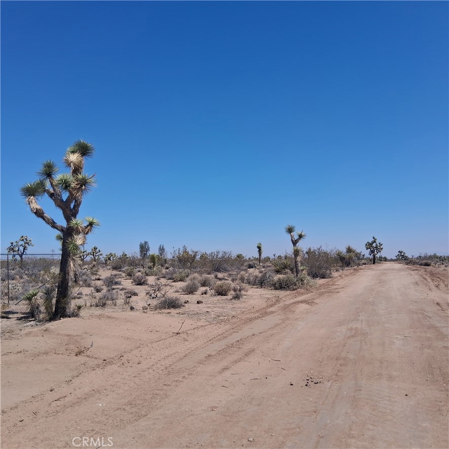 MLS #JT25181873 image #21