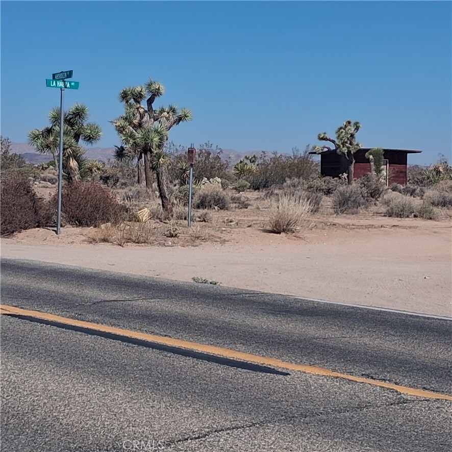 MLS #JT25181873 image #25