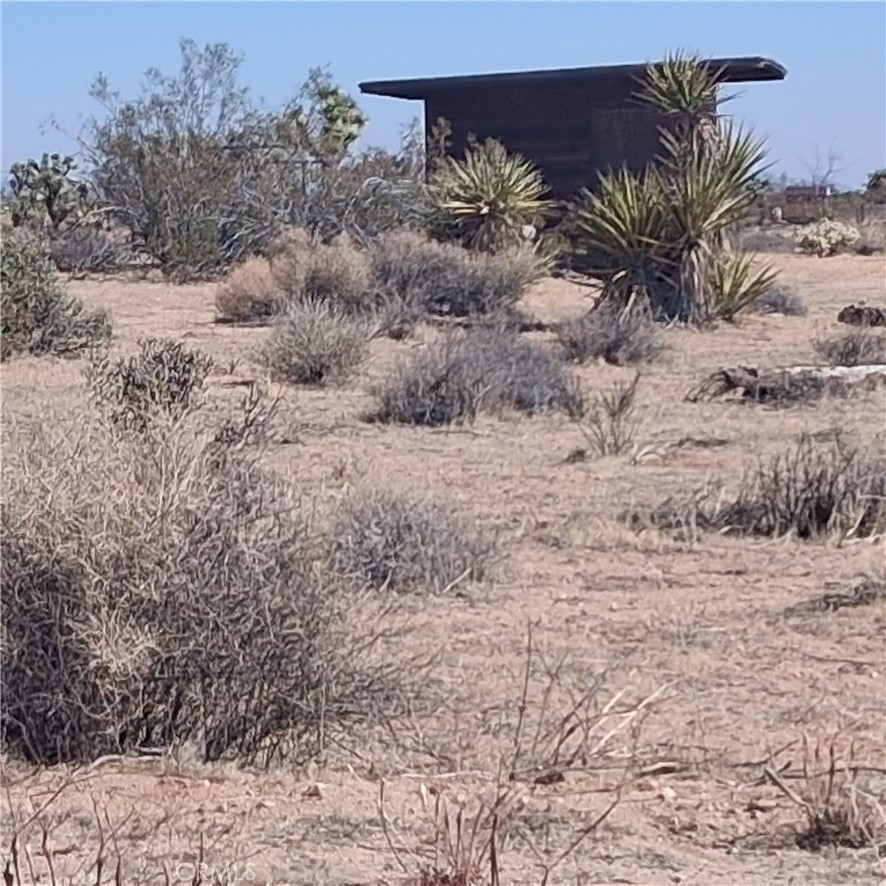 MLS #JT25181873 image #38