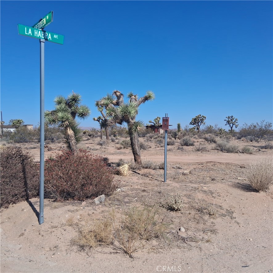 MLS #JT25181873 image #6