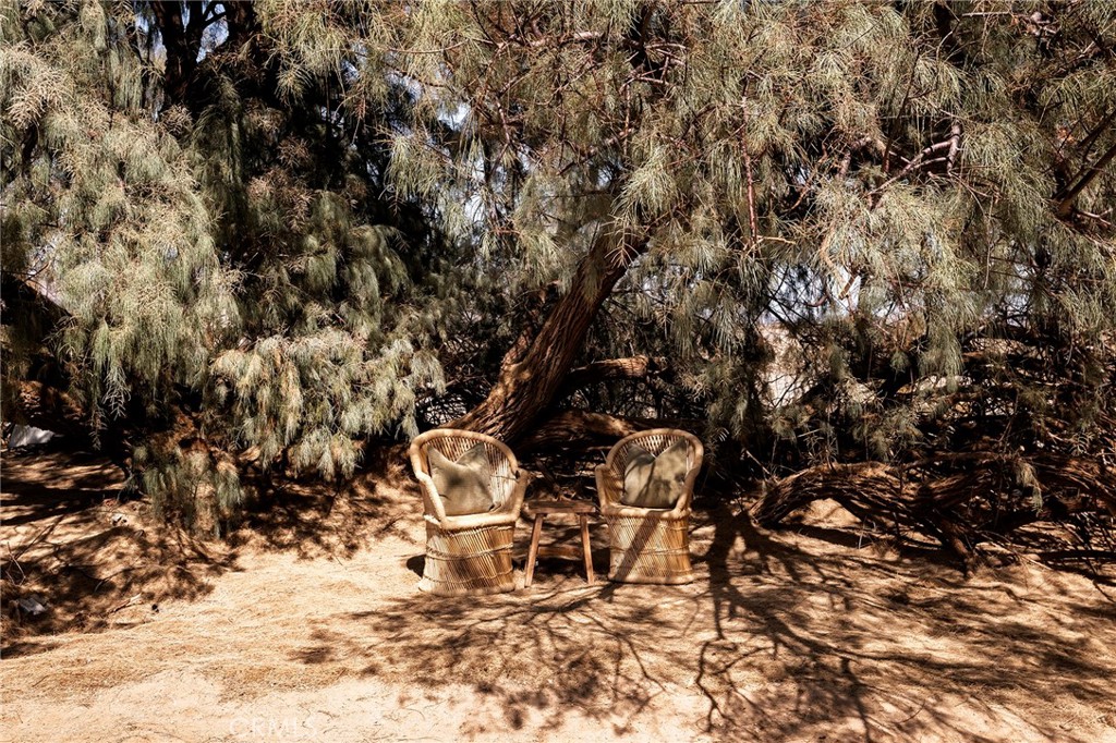 MLS #JT25183689 image #53