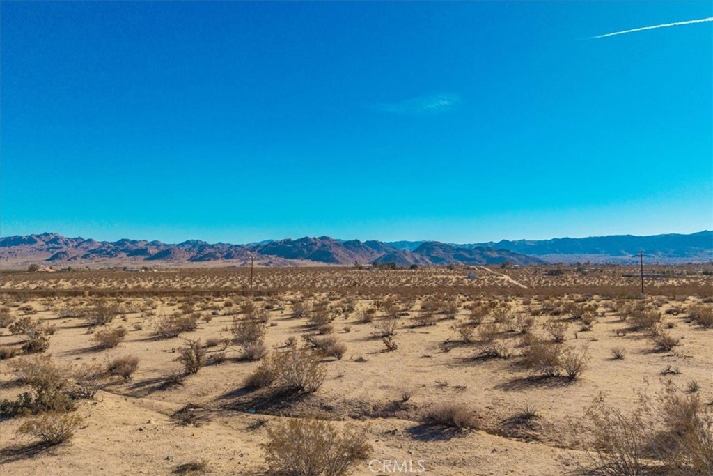 MLS #JT25184708 image #10