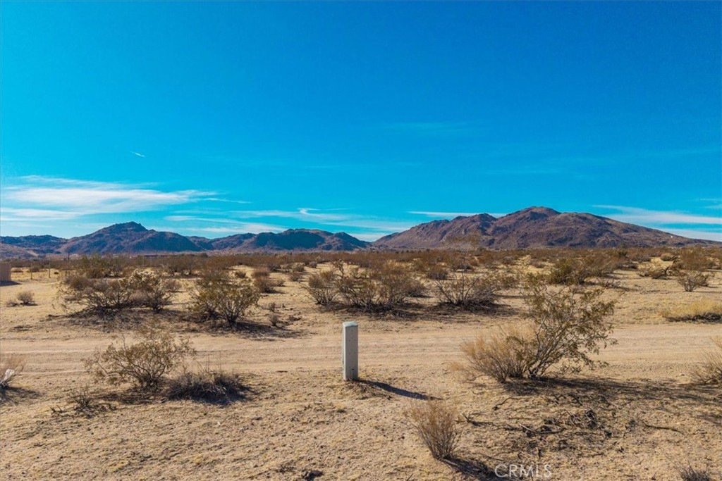 MLS #JT25184708 image #11