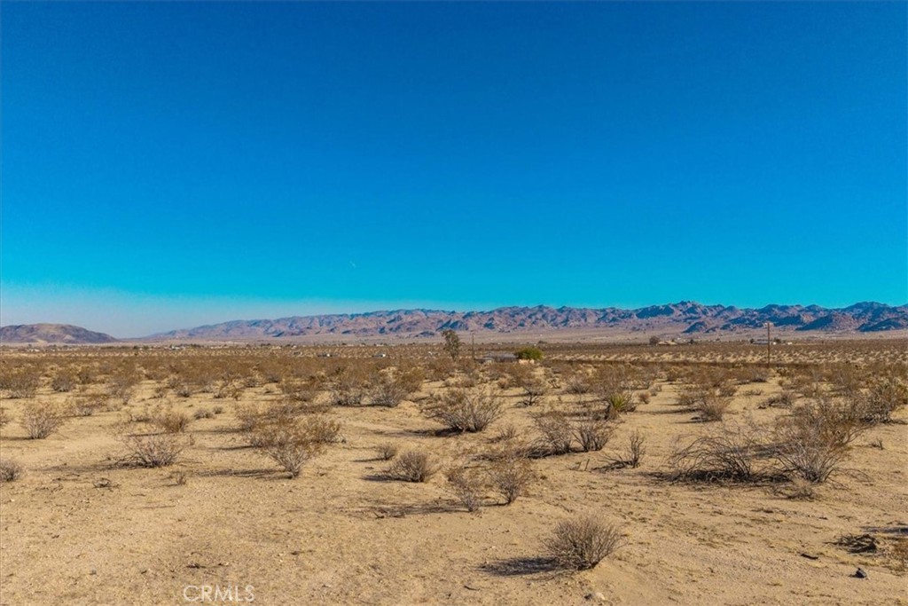 MLS #JT25184708 image #12