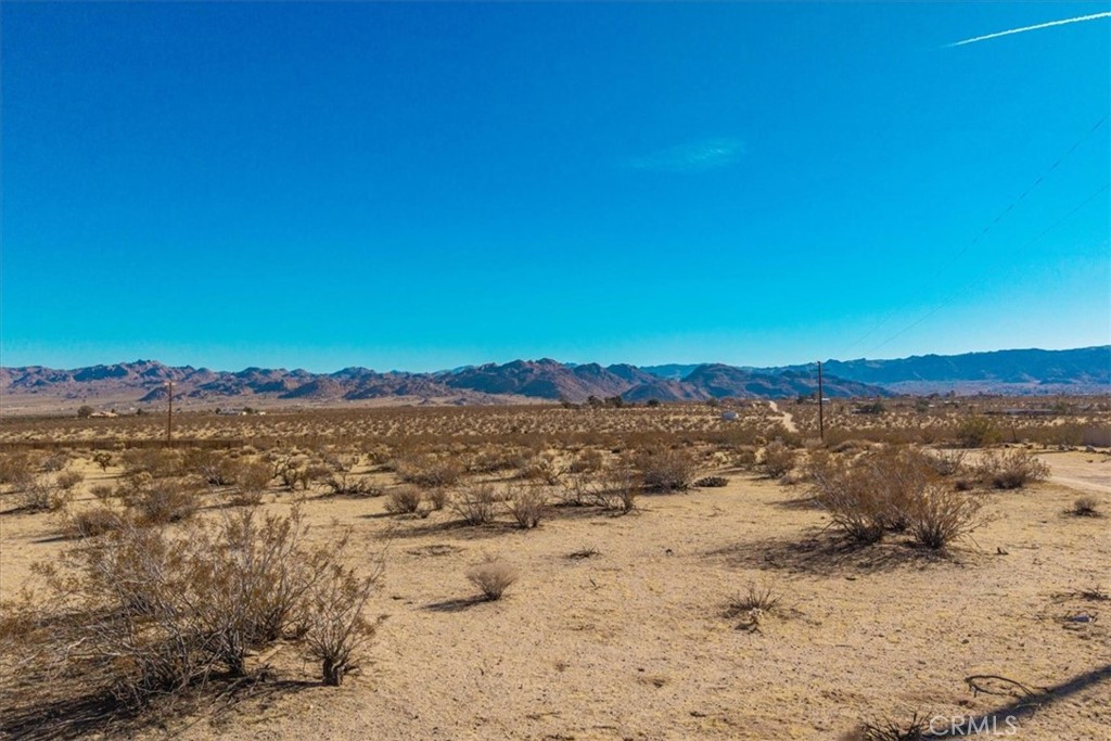 MLS #JT25184708 image #14