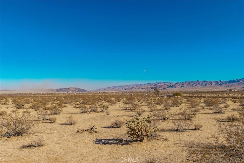 MLS #JT25184708 image #15