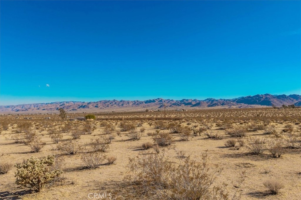 MLS #JT25184708 image #16