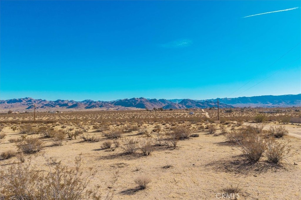 MLS #JT25184708 image #2