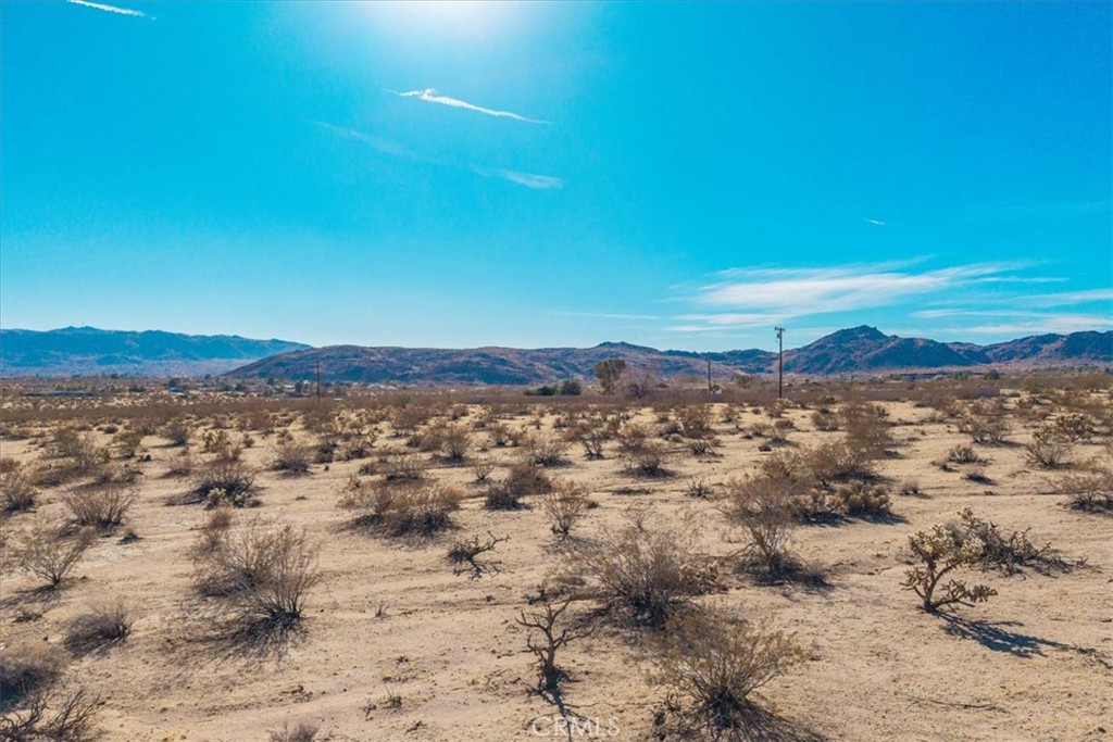 MLS #JT25184708 image #8