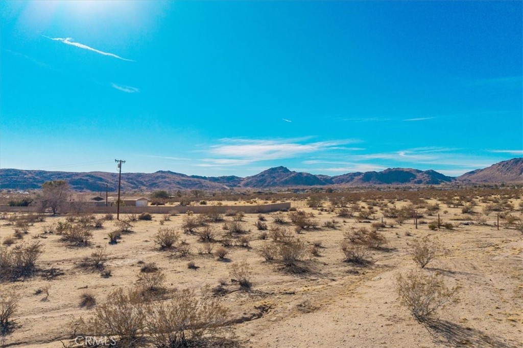 MLS #JT25184708 image #9