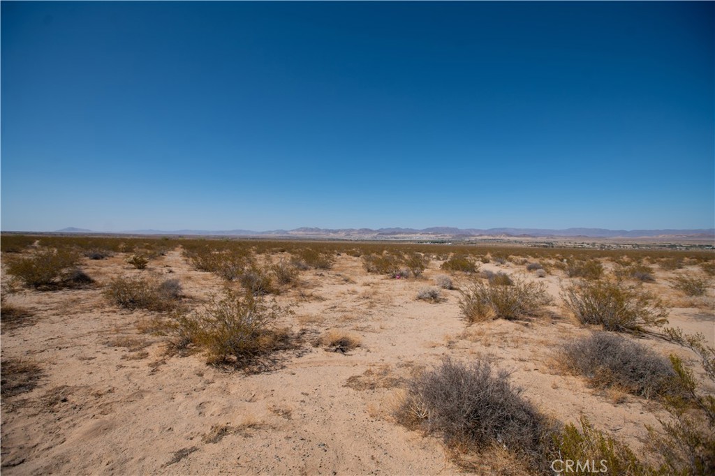 MLS #JT25185156 image #10