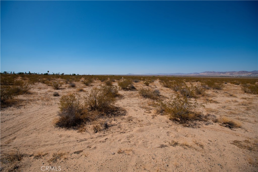 MLS #JT25185156 image #11