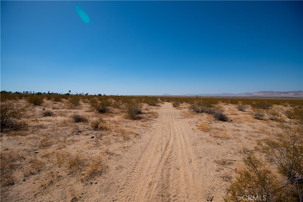 MLS #JT25185156 image #4