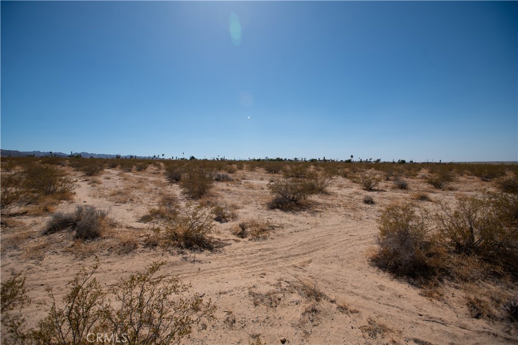 MLS #JT25185156 image #7