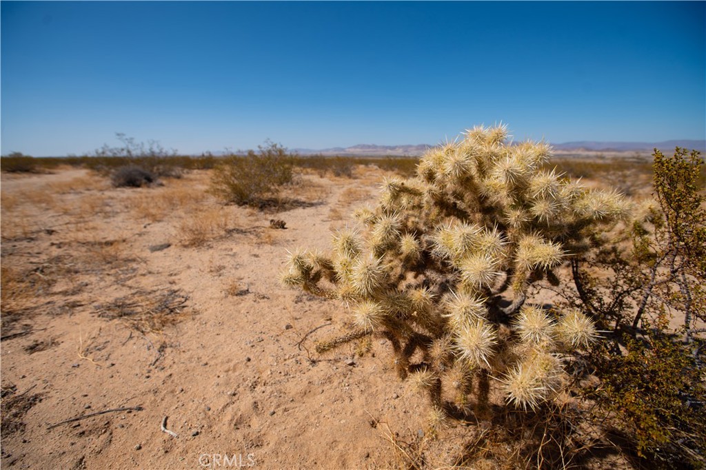 MLS #JT25185156 image #8