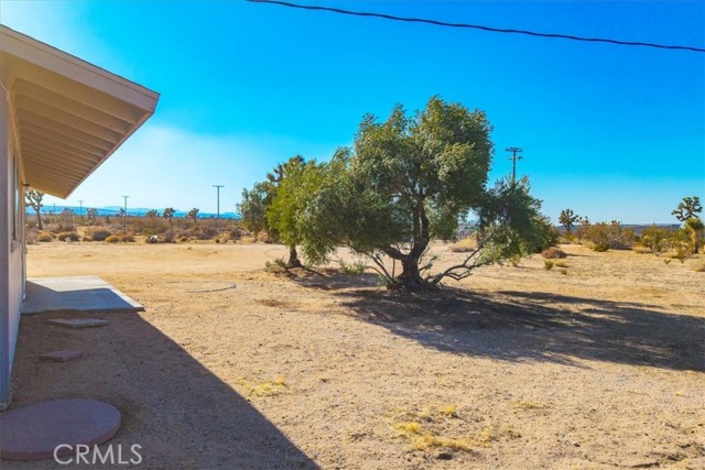 MLS #JT25185319 image #13