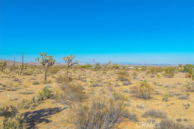 MLS #JT25185319 image #14