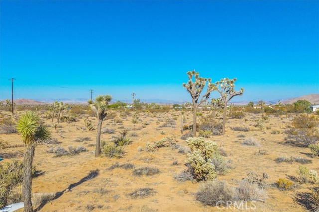 MLS #JT25185319 image #19