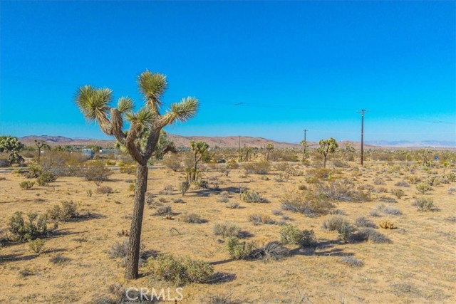 MLS #JT25185319 image #20