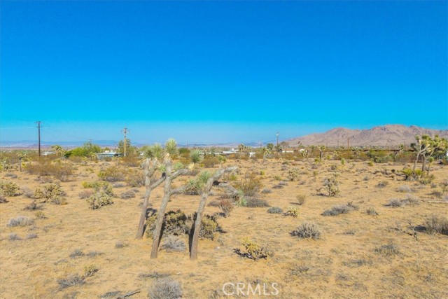 MLS #JT25185319 image #21