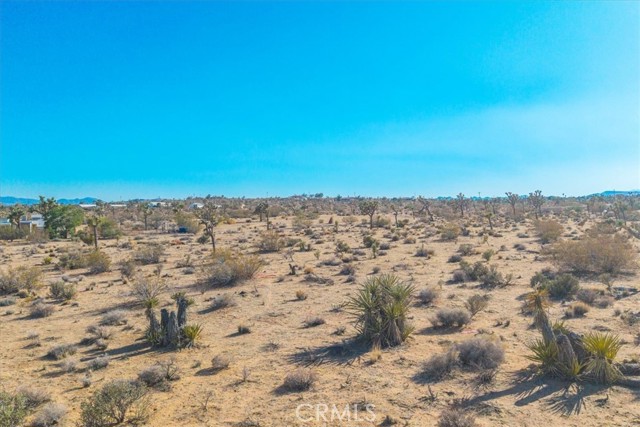 MLS #JT25185319 image #23