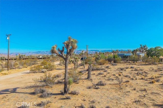 MLS #JT25185319 image #24