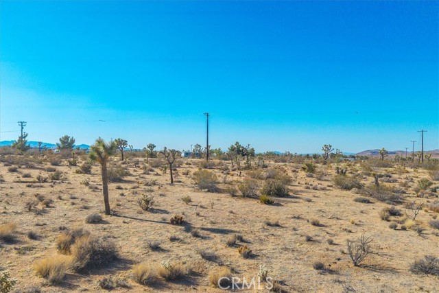 MLS #JT25185319 image #25