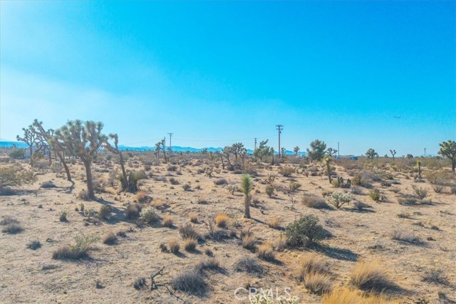 MLS #JT25185319 image #28