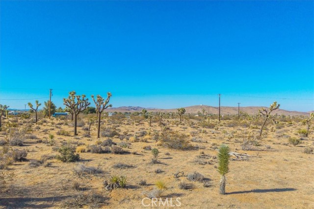 MLS #JT25185319 image #30