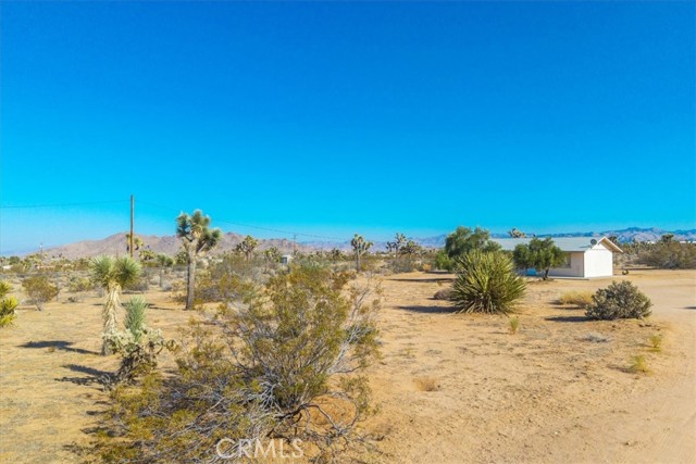 MLS #JT25185319 image #31