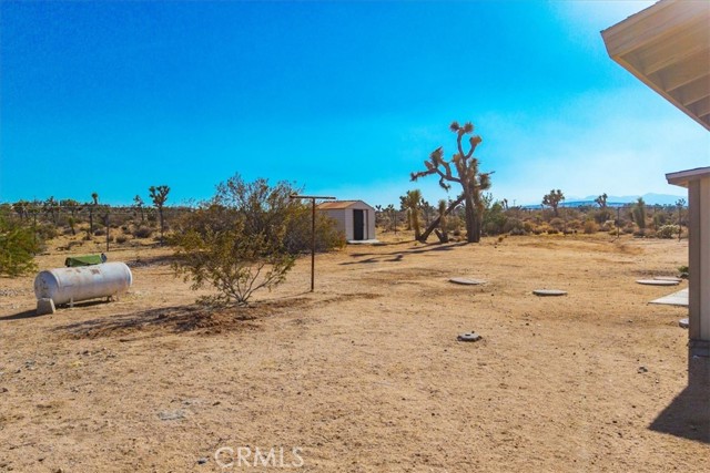 MLS #JT25185319 image #35