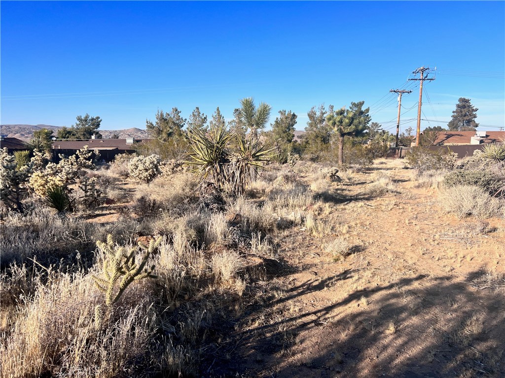 MLS #JT25185661 image #13