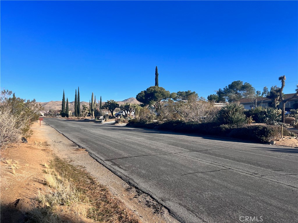 MLS #JT25185661 image #14