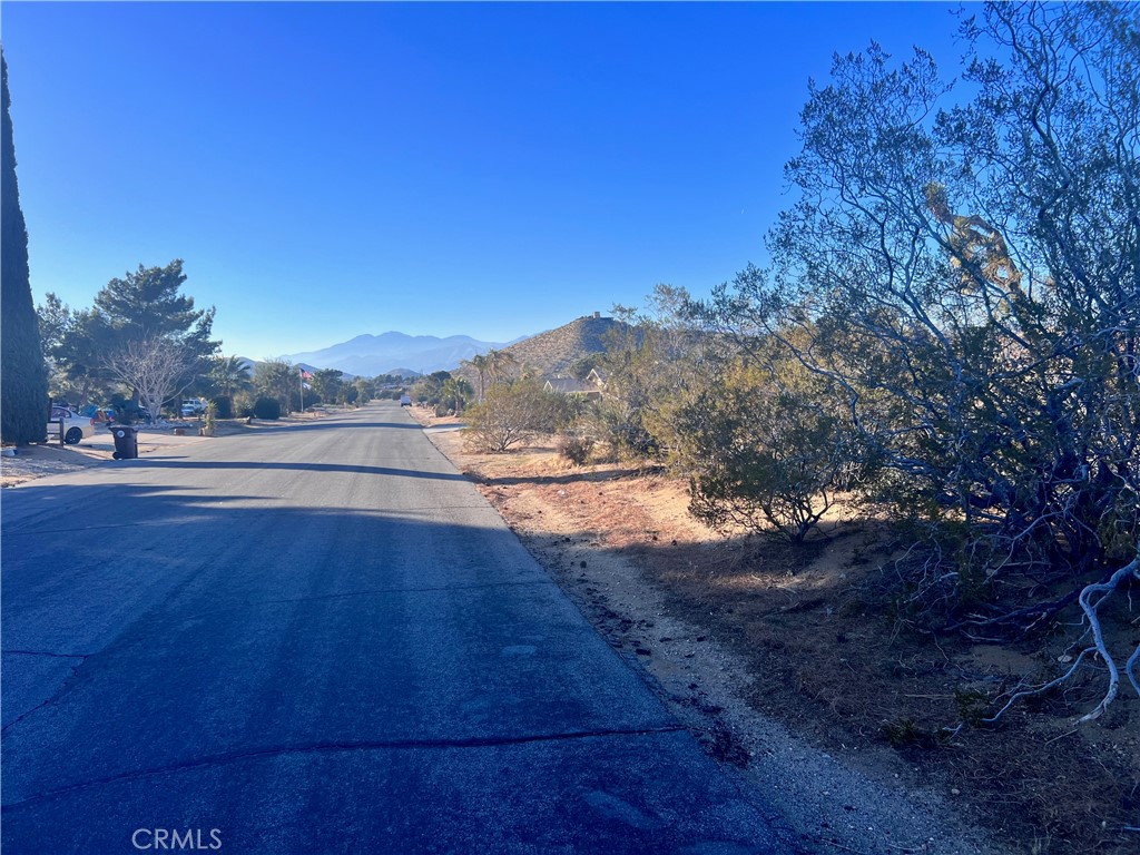 MLS #JT25185661 image #15