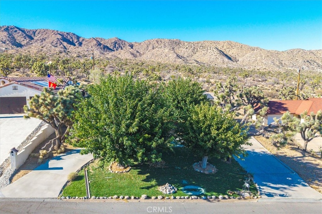 MLS #JT25185880 image #36