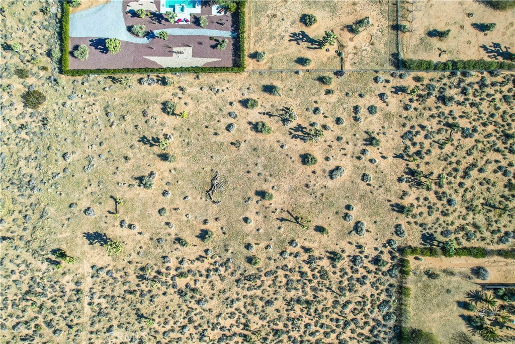 MLS #JT25185963 image #14