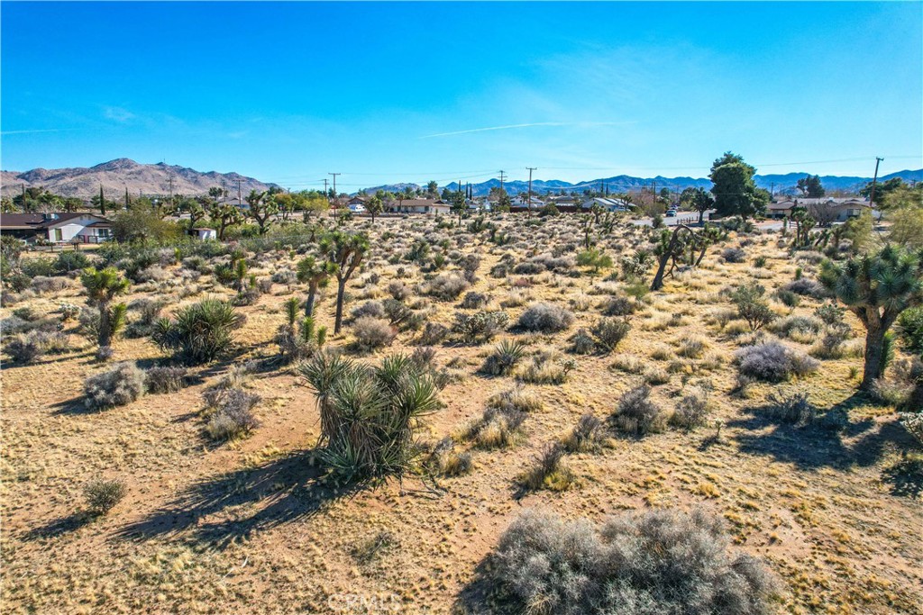 MLS #JT25185963 image #16