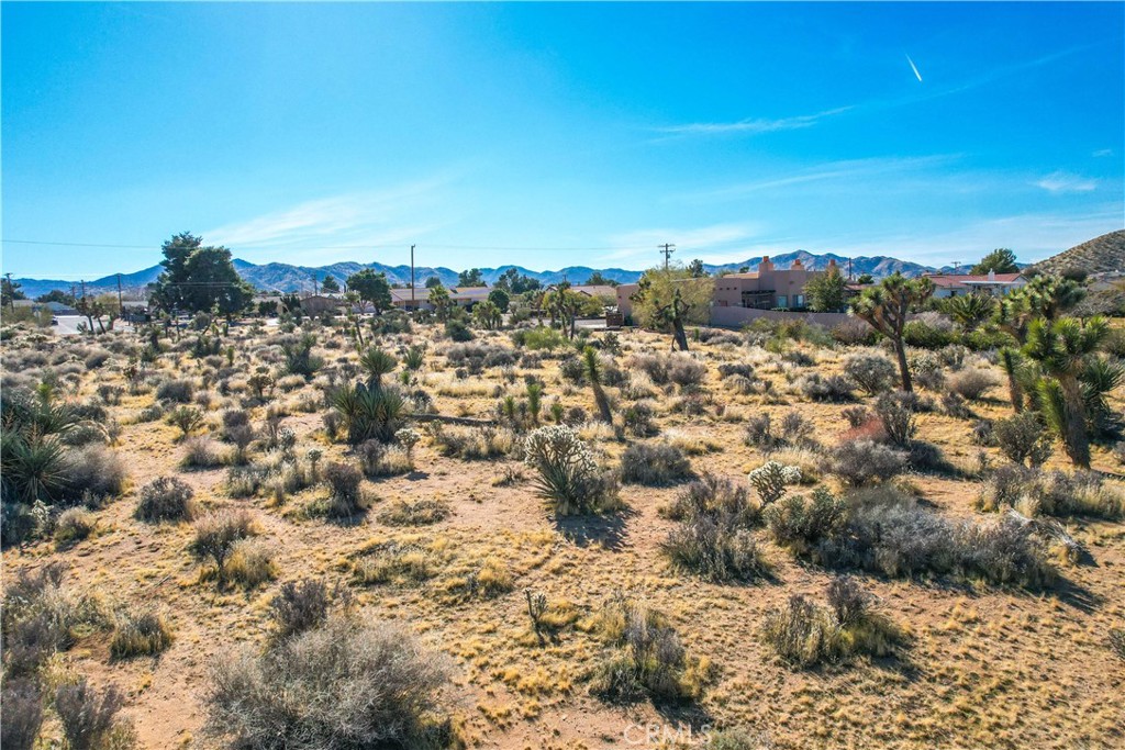 MLS #JT25185963 image #17