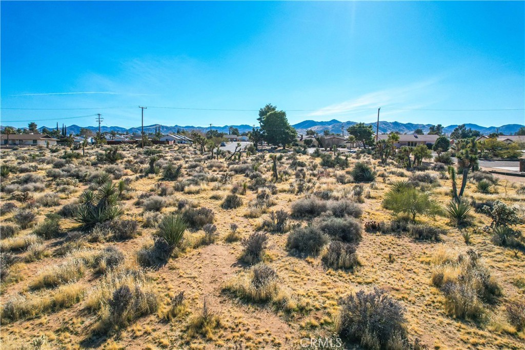 MLS #JT25185963 image #18