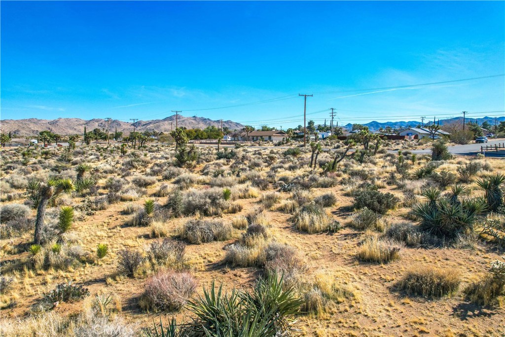 MLS #JT25185963 image #19