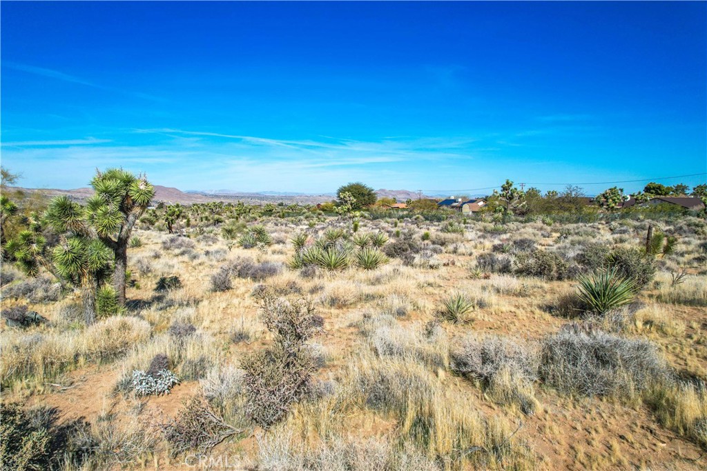 MLS #JT25185963 image #20